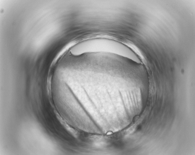 X0000088600910200706221403
