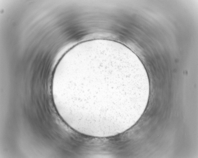 X0000088600912200706221402