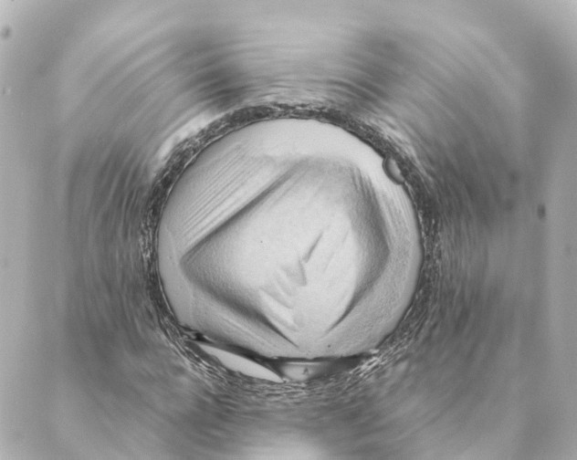 X0000088600920200706221402