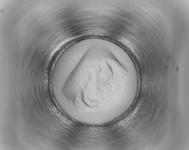 X0000088600923200706221402