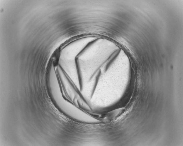 X0000088600924200706221402