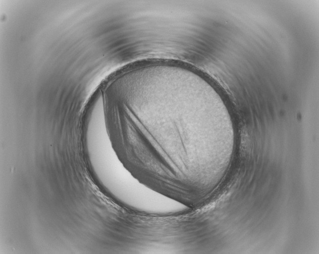 X0000088600926200706221402