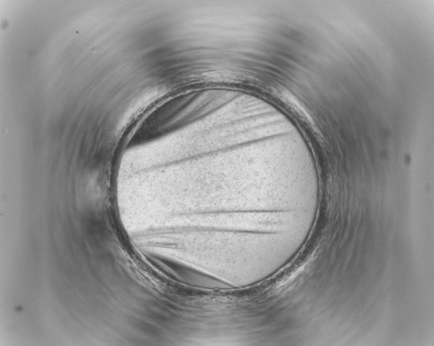 X0000088600930200706221402