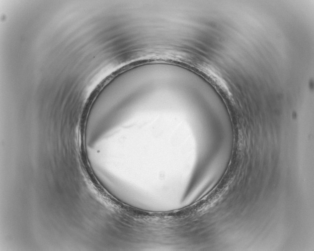 X0000088600936200706221402