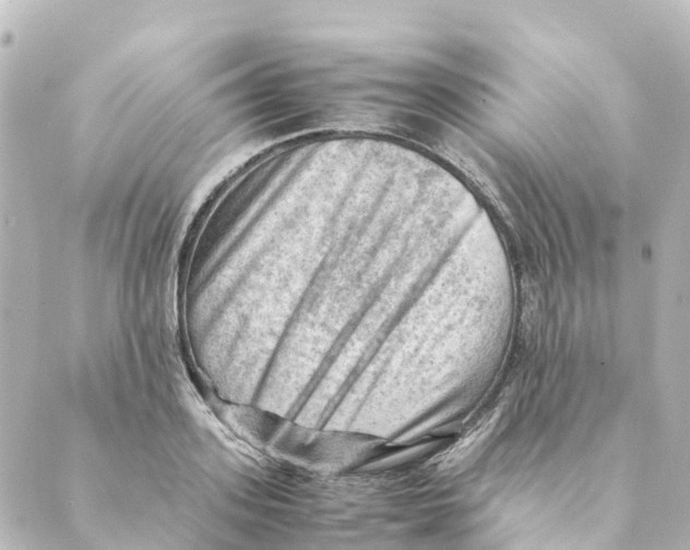 X0000088600939200706221402