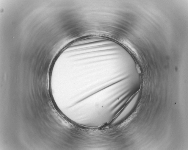 X0000088600940200706221402