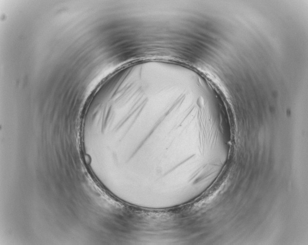 X0000088600941200706221402