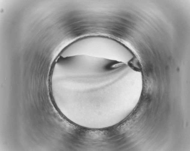 X0000088600943200706221402