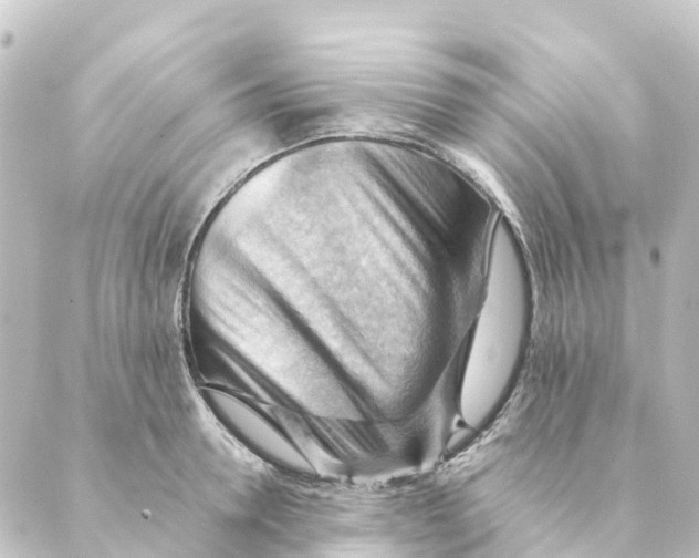 X0000088600946200706221402