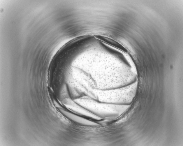 X0000088600948200706221402