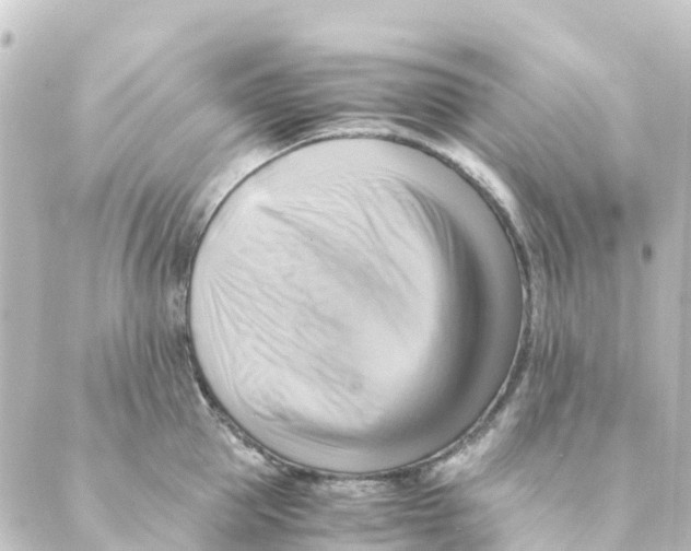 X0000088600953200706221402
