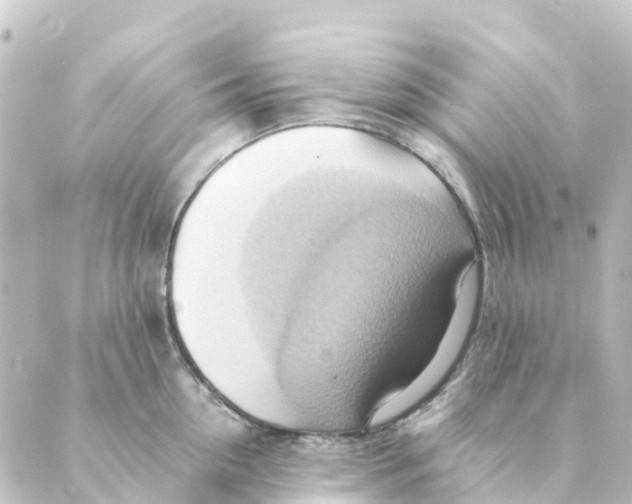 X0000088600954200706221402