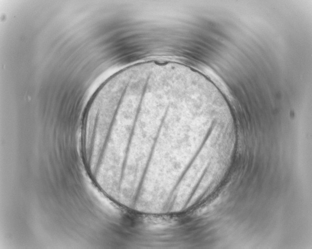 X0000088600955200706221402