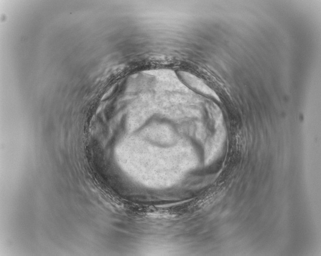 X0000088600961200706221402