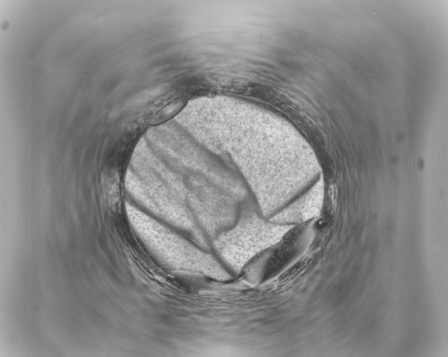 X0000088600963200706221402