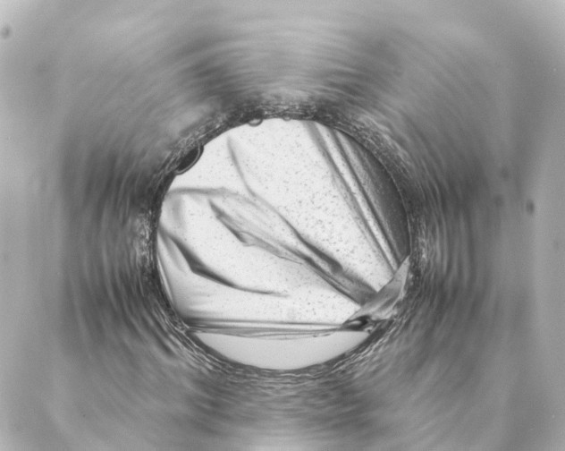 X0000088600964200706221402