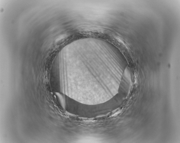 X0000088600965200706221402