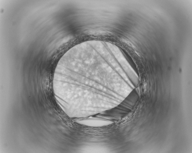 X0000088600966200706221402