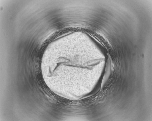 X0000088600968200706221402