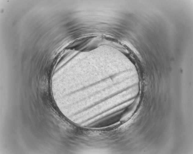 X0000088600969200706221402