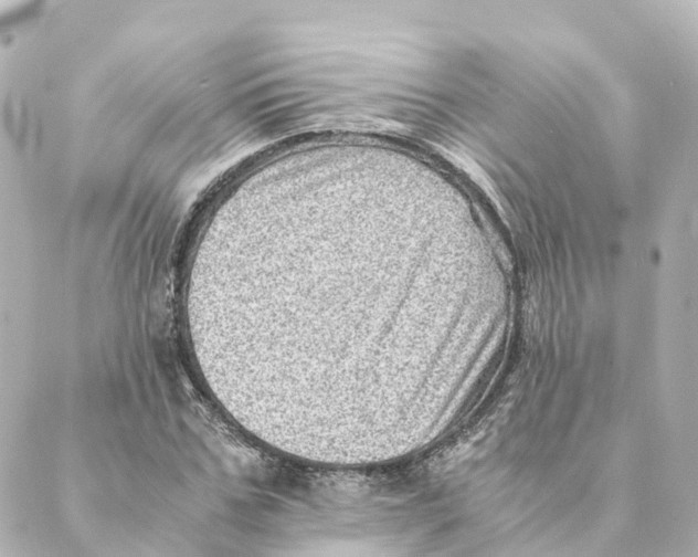 X0000088600971200706221402