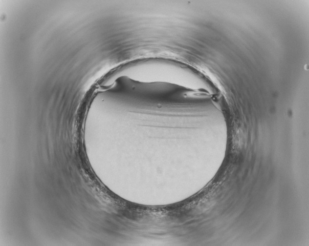 X0000088600975200706221401