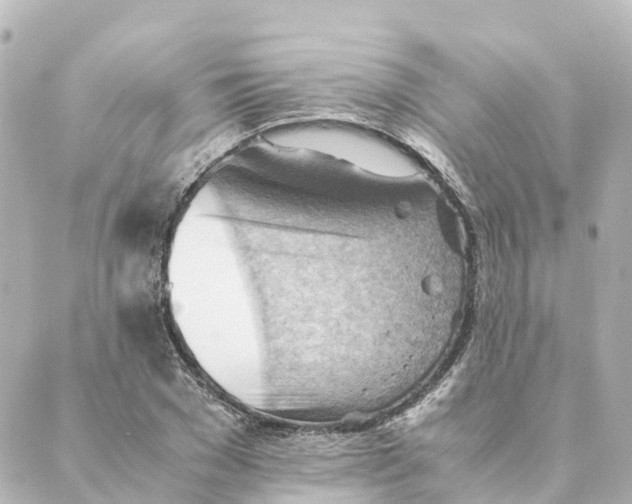 X0000088600977200706221401