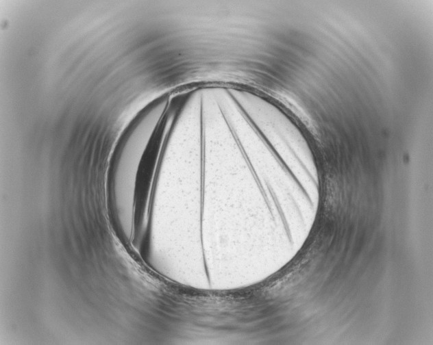 X0000088600980200706221401