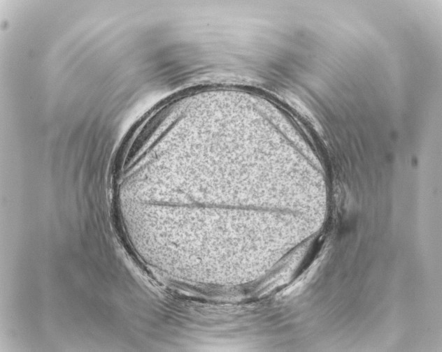 X0000088600981200706221401