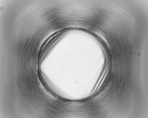 X0000088600984200706221401