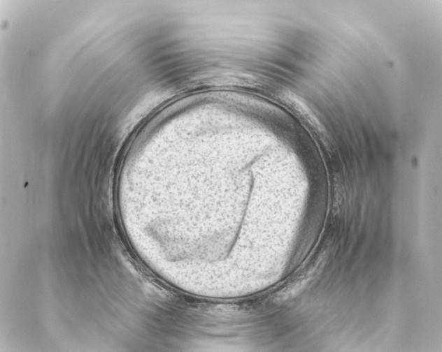 X0000088600986200706221401