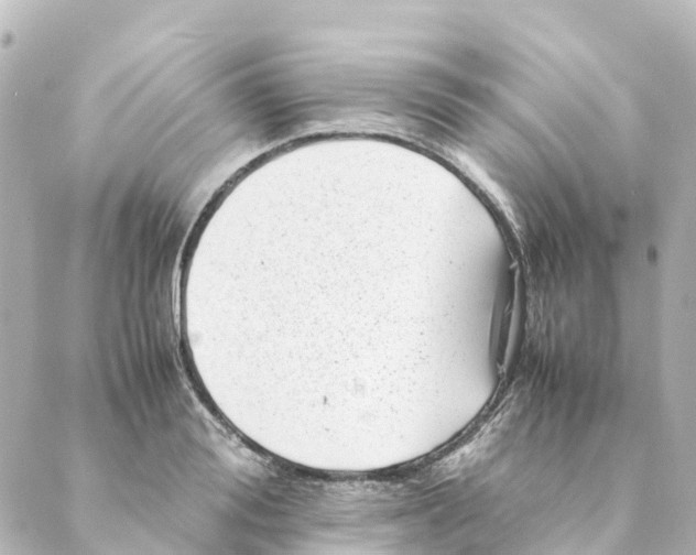 X0000088600988200706221401