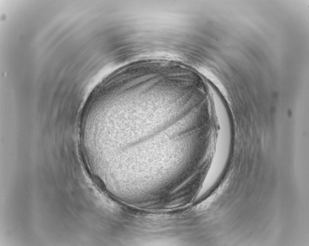 X0000088600989200706221401