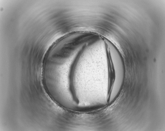 X0000088600992200706221401