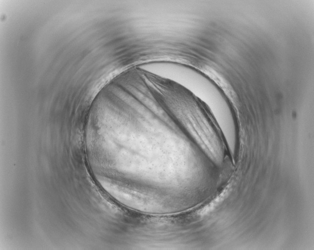 X0000088600993200706221401