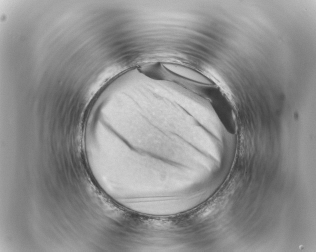 X0000088600994200706221401