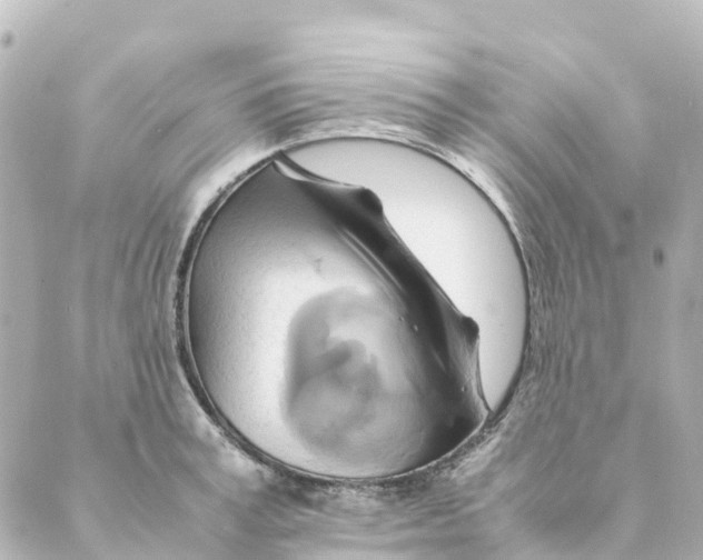 X0000088600995200706221401