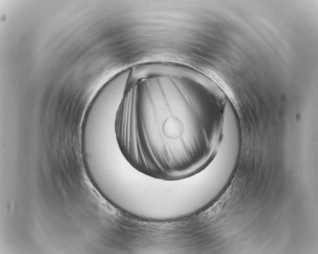 X0000088600996200706221401