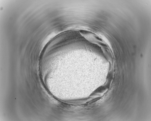 X0000088600997200706221401