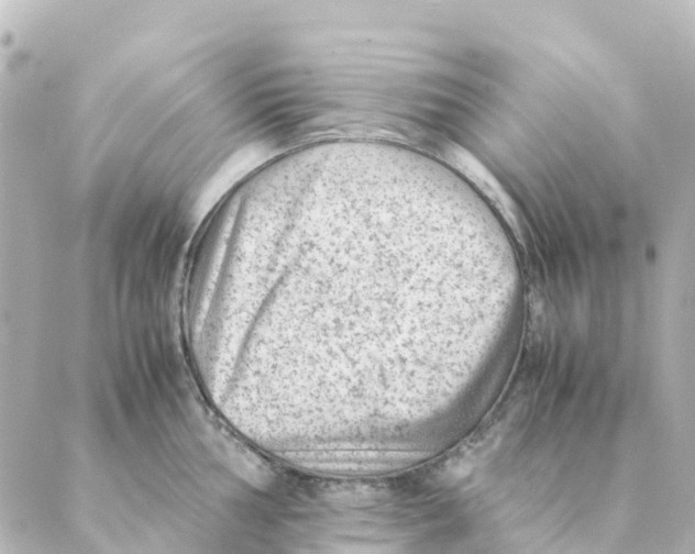 X0000088601002200706221401