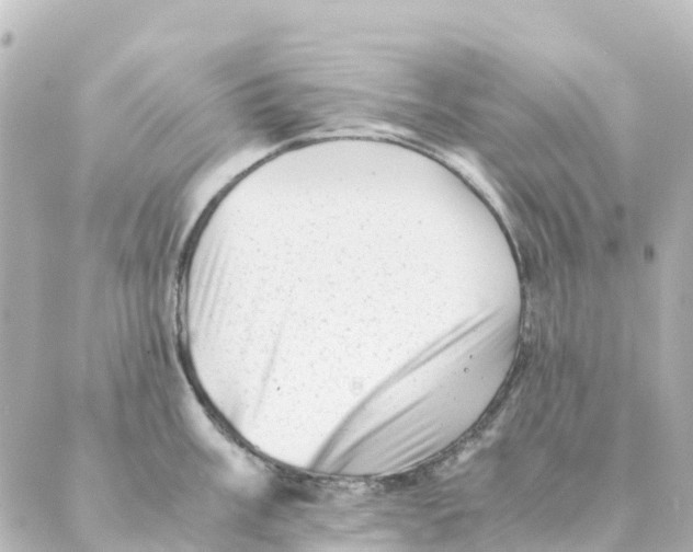 X0000088601003200706221401