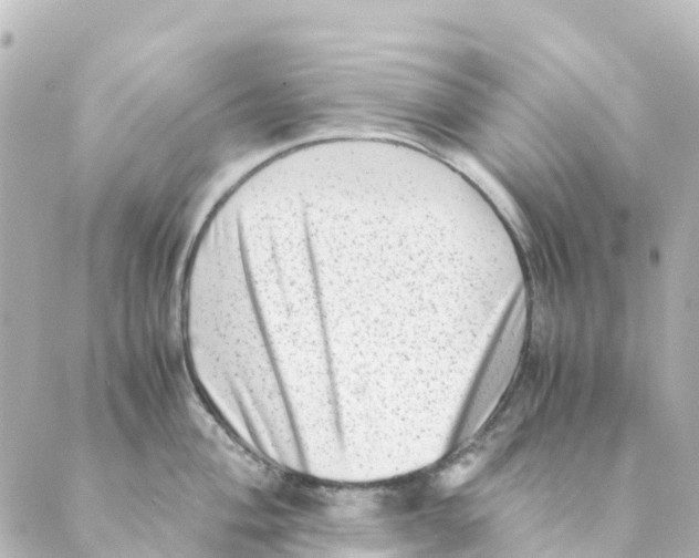 X0000088601004200706221401