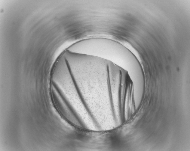 X0000088601005200706221401