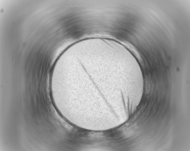 X0000088601006200706221401