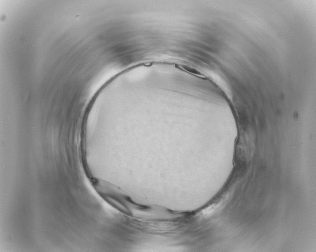 X0000088601007200706221401