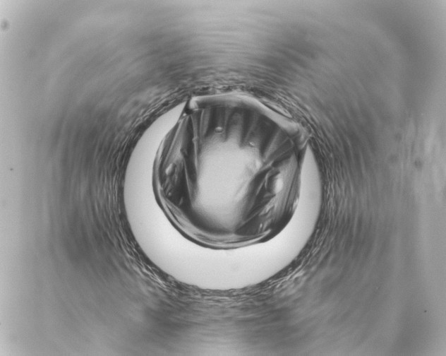 X0000088601010200706221400