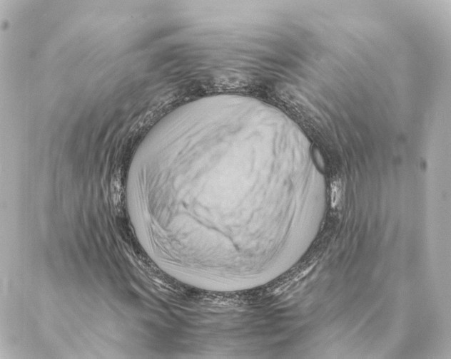 X0000088601011200706221400