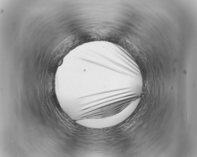 X0000088601012200706221400