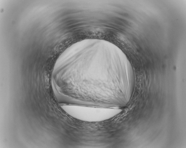 X0000088601013200706221400