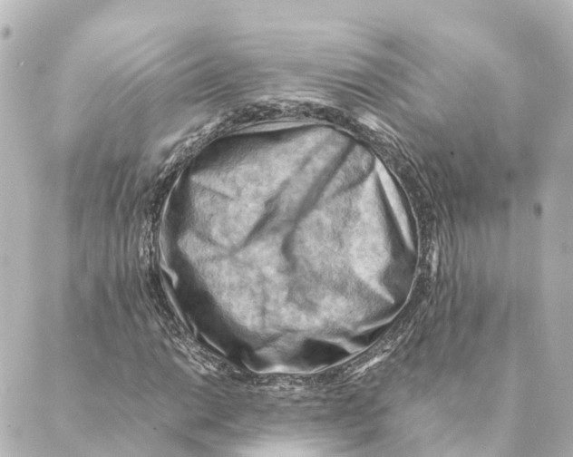 X0000088601014200706221400